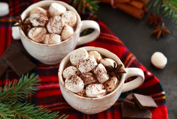 Hot chocolate with marshmallows, cinnamon and spices