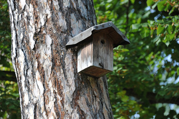 Brutkasten, Nistkasten, Vogelschutz, Artenschutz, Naturschutz, Höhlenbrüter, Nischenbrüter, Singvögel, Vogel, Vögel