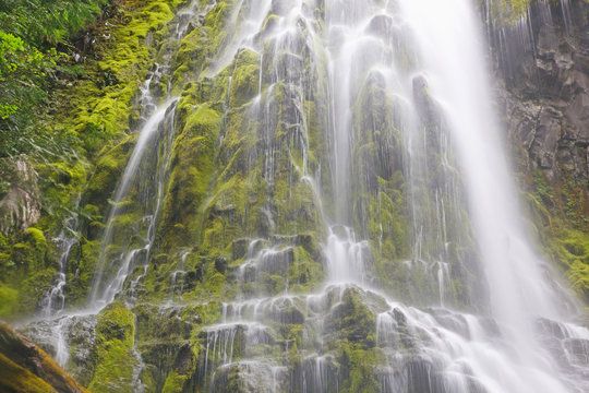 Proxy Falls, Willamette National Forest, Oregon, USA