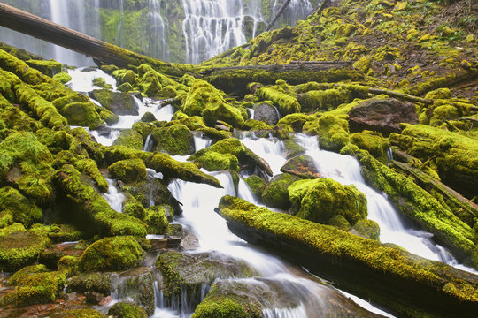 Proxy Falls, Willamette National Forest, Oregon, USA
