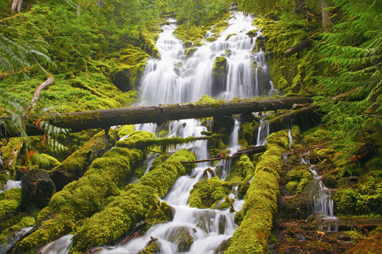 Proxy Falls, Willamette National Forest, Oregon, USA