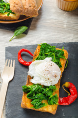 Fototapeta na wymiar Toasted baguette with poached egg