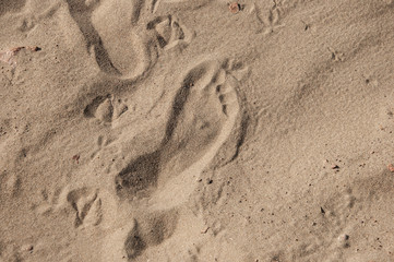 Footprints in sand at the Beach