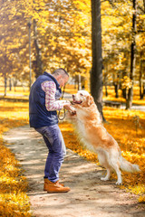 Young man walking a dog at the park in good weather. Boy and golden retriever.
Autumn environment