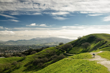 Obraz premium Mount Diablo from Acalanes Ridge, Lafayette, California