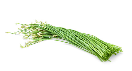 Chinese chives on white background