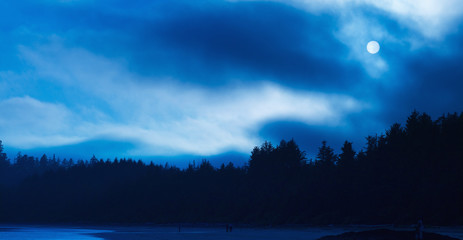 Long Beach With A Full Moon At Night; Tofino, British Columbia, Canada