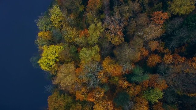 Colourful autumn forest and blue river, aerial top drone view