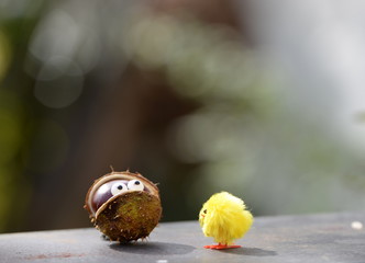 do you want to play with me?, yellow chicken looking at a chestnut with sugar eyes hidden in it`s...