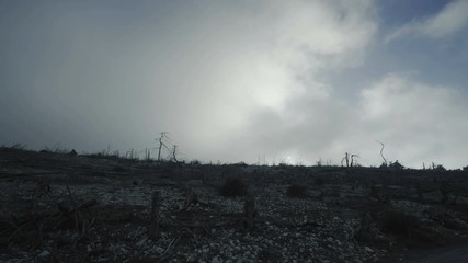 Pov driving view of a ravaged and burned out forest landscape in winter fog and mist.