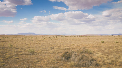 Obraz premium Buschfeuer in den Flinders Ranges, South Australia