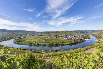 Moselle river loop in Trittenheim, Germany.