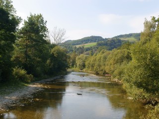 Obraz premium landscape with Wisloka river near Krempna village