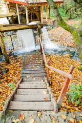 Fototapeta na wymiar Water Mill in the autumn forest