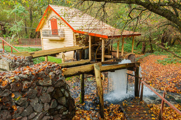 Water Mill in the autumn forest