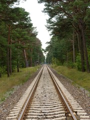 Fototapeta premium railway line in forest on HEL penistula