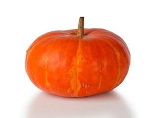 pumpkin over whitel