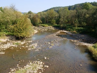 Fototapeta na wymiar landscape with Wisloka river near Krempna village