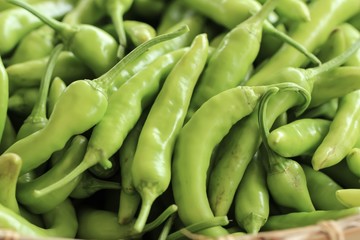 Vegetables to market 
