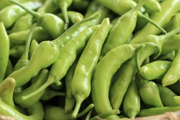 Vegetables to market 
