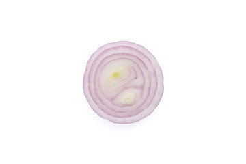 shallots still life white background