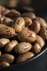 Healthy Raw Organic Cranberry Beans