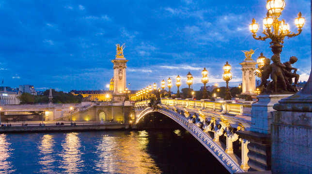 The bridge Alexandre III at night, Paris, France.