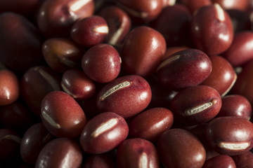 Raw Organic Red Adzuki Beans