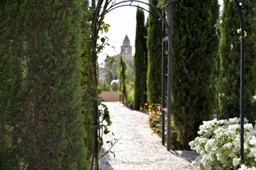 JARDINES DE LA ALHAMBRA