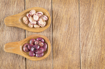 Pinto bean variety - (Phaseolus vulgaris)