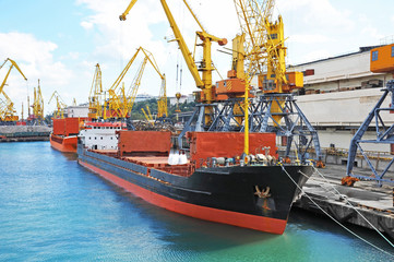 Bulk cargo ship under port crane