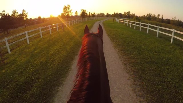 FPV: Horseback riding beautiful strong dark brown horse into golden setting sun