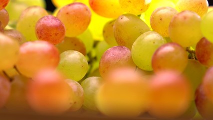 Red, green and orange grape bunch