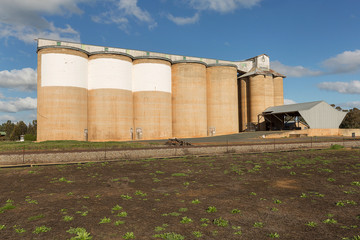 Grain Silos Beckom NSW