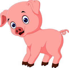 pig cartoon