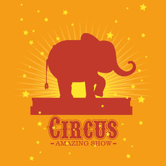 circus entertainment amazing show vector illustration design