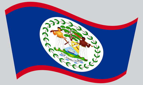 Flag of Belize waving on gray background