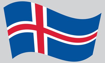 Flag of Iceland waving on gray background