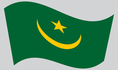 Flag of Mauritania waving on gray background