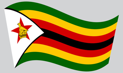 Flag of Zimbabwe waving on gray background