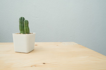 Wood table with Cactus flower on flowerpot.