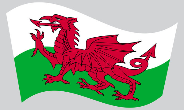 Flag of Wales waving on gray background