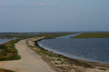 The shore line