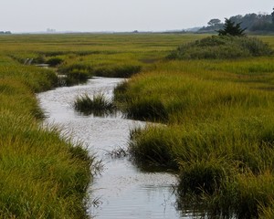 Marshes and Waterways