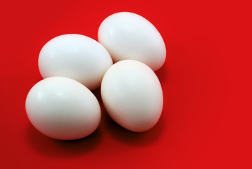 four white eggs on red background, horizontal studio shot