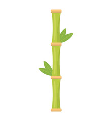 bamboo plant spa isolated icon vector illustration design
