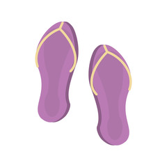 flip flop spa equipment isolated icon vector illustration design
