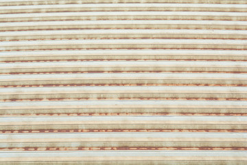 Old rusty metal sheet rooftop in a bright day.