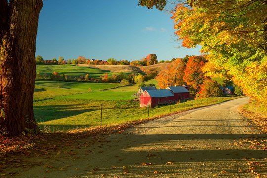 Farm in the Morning on Rolling Green Fields in the Season of Autumn