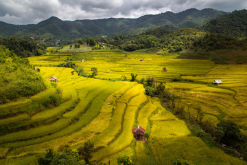 Rice Terrace at Mea La Noi City in Mae Hong Son , Thailand - 124085448